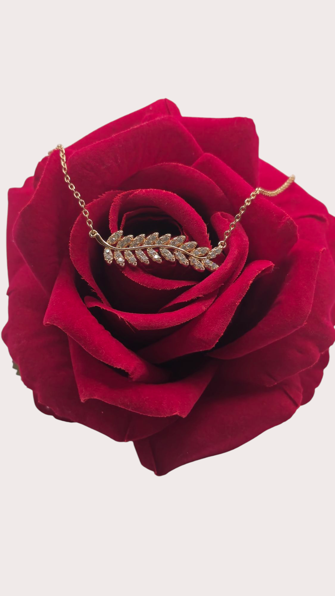 Collier Feuille Élégance - Doré à l'or fin - La Bella Dorée