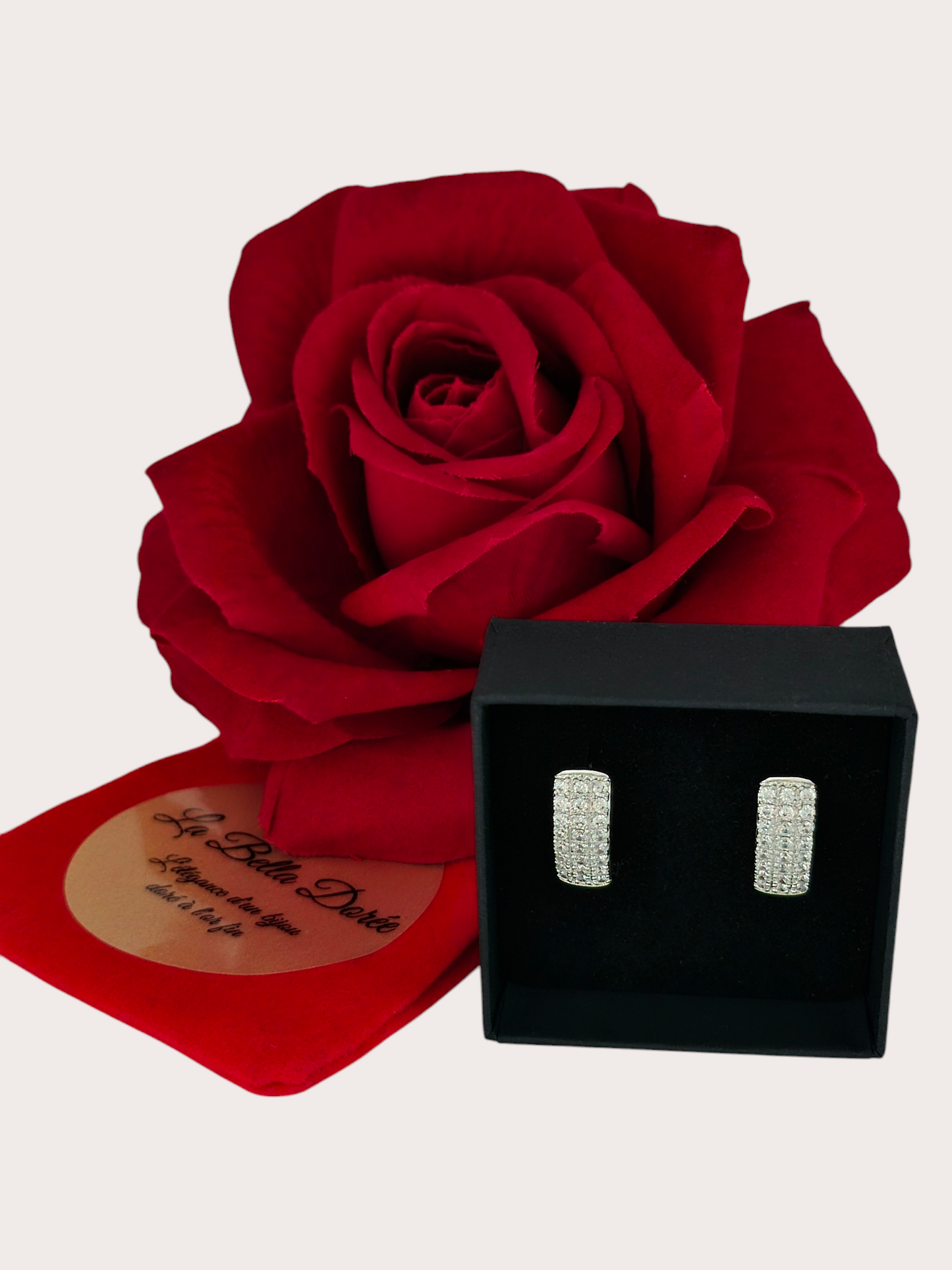 Boucles d'oreilles Prestige Éblouissant argenté - Doré à l'or fin - La Bella Dorée