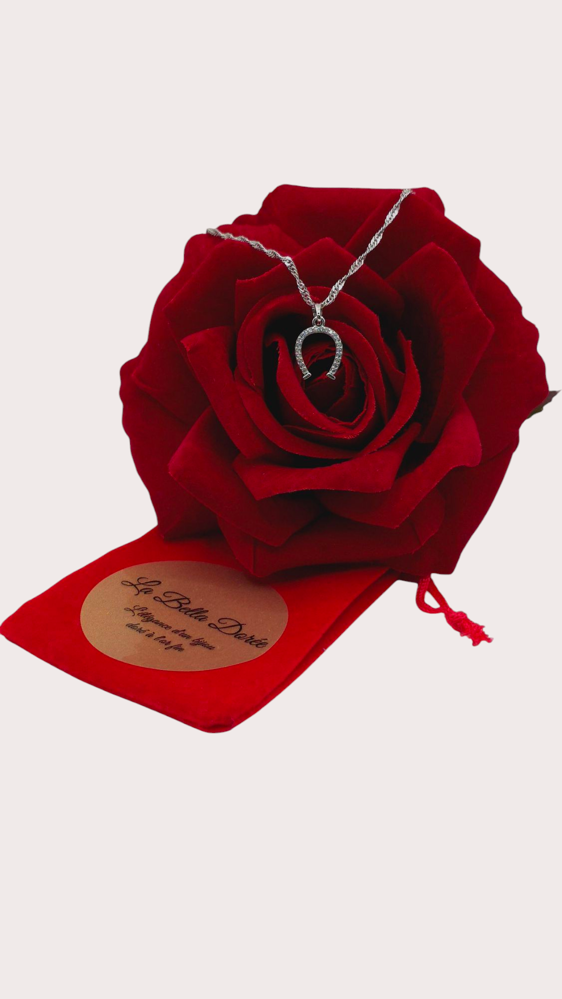 Collier Fer à Cheval Argenté - Doré à l'or fin - La Bella Dorée