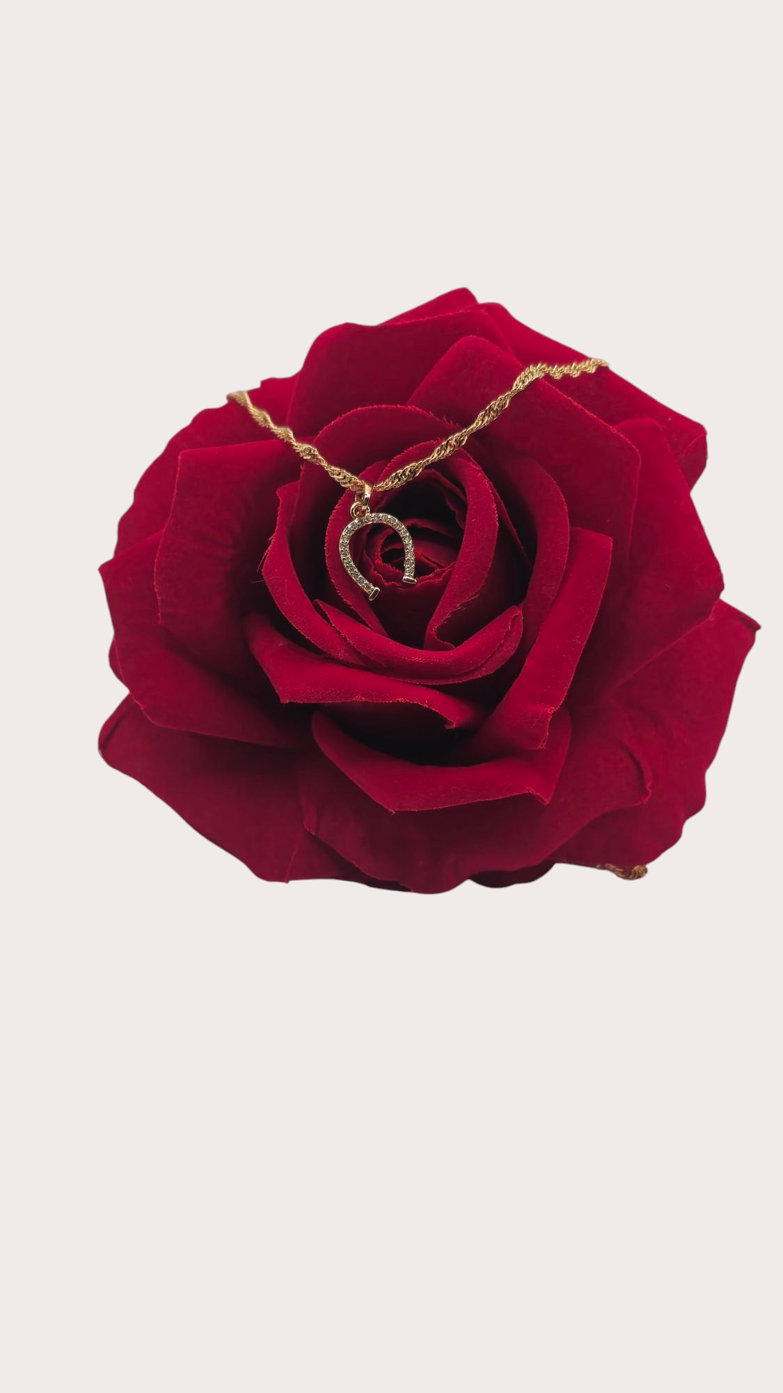 Collier Fer à Cheval Doré - Doré à l'or fin - La Bella Dorée